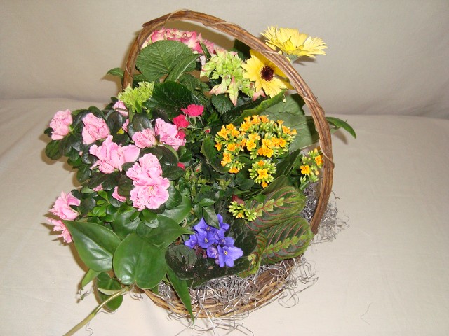 Basket of Flowers